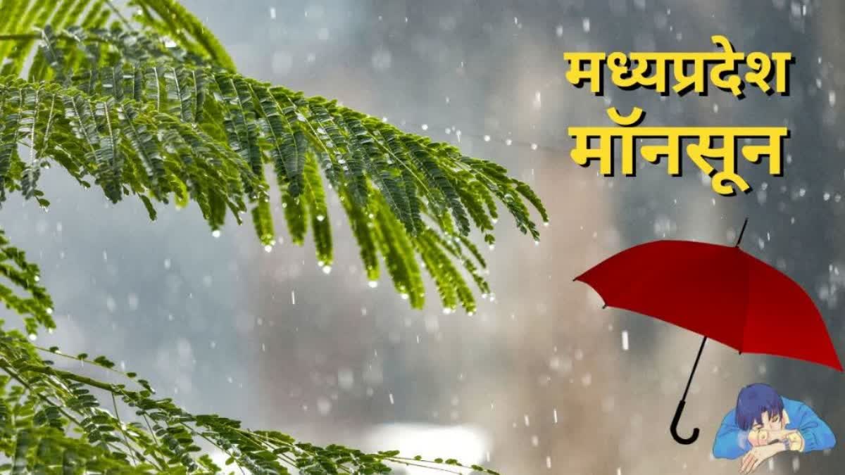 Monsoon In MP