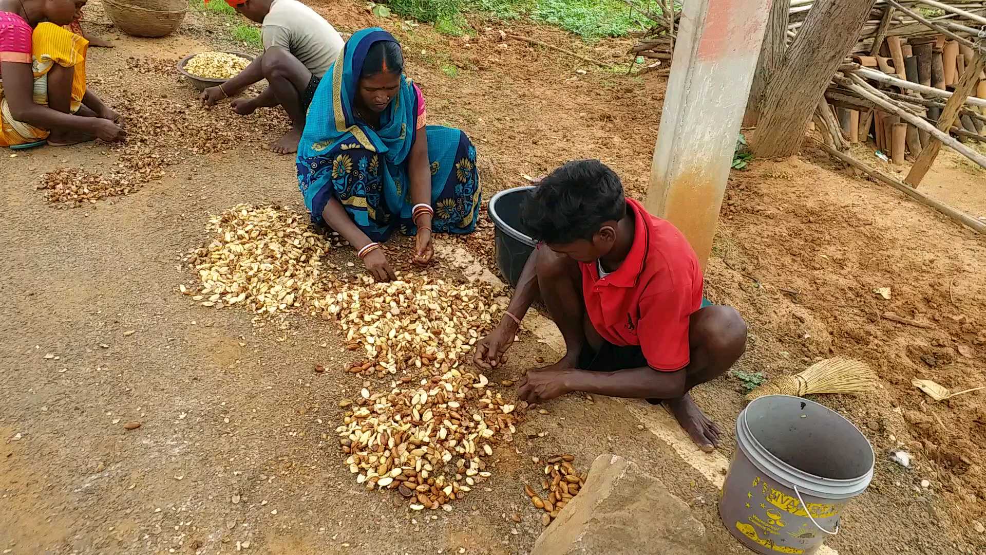 medicinal-properties-mahua-fruit-oil-villagers-bring-to-use-in-latehar