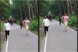 wild-elephant-chases-youth-in-uttar-pradesh-dudhwa-tiger-reserve-video-went-viral