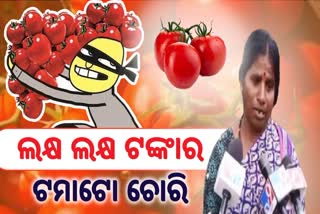 Tomatoes stolen worth more than two lakhs