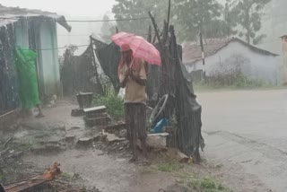 Nilgiris Rain: அவலாஞ்சியில் 204 மி.மீ மழை பதிவு
