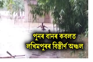 Large area of Kadam in Lakhimpur Under the flood