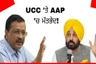 Two opinions in Aam Aadmi Party on UCC