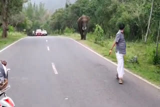 Two people hailing from Nizampet locality in Hyderabad had to pay a hefty amount as a fine for clicking a selfie with a wild elephant on Wednesday.  A fine of Rs 10,000 each was imposed on Dilip Kumar (42) and Shyamprasad (31) for taking photos with a wild elephant.