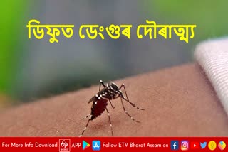 dengue outbreak in diphu