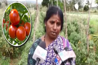 TOMATOES WORTH MORE THAN RS 2 LAKH STOLEN IN HASSAN KARNATAKA