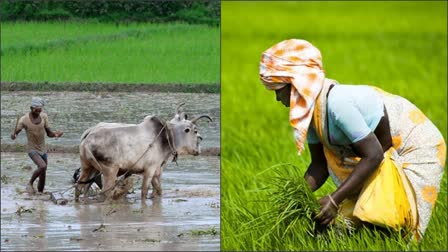 ಬೆಳಗಾವಿ ರೈತರ ಬೇಡಿಕೆಗಳು