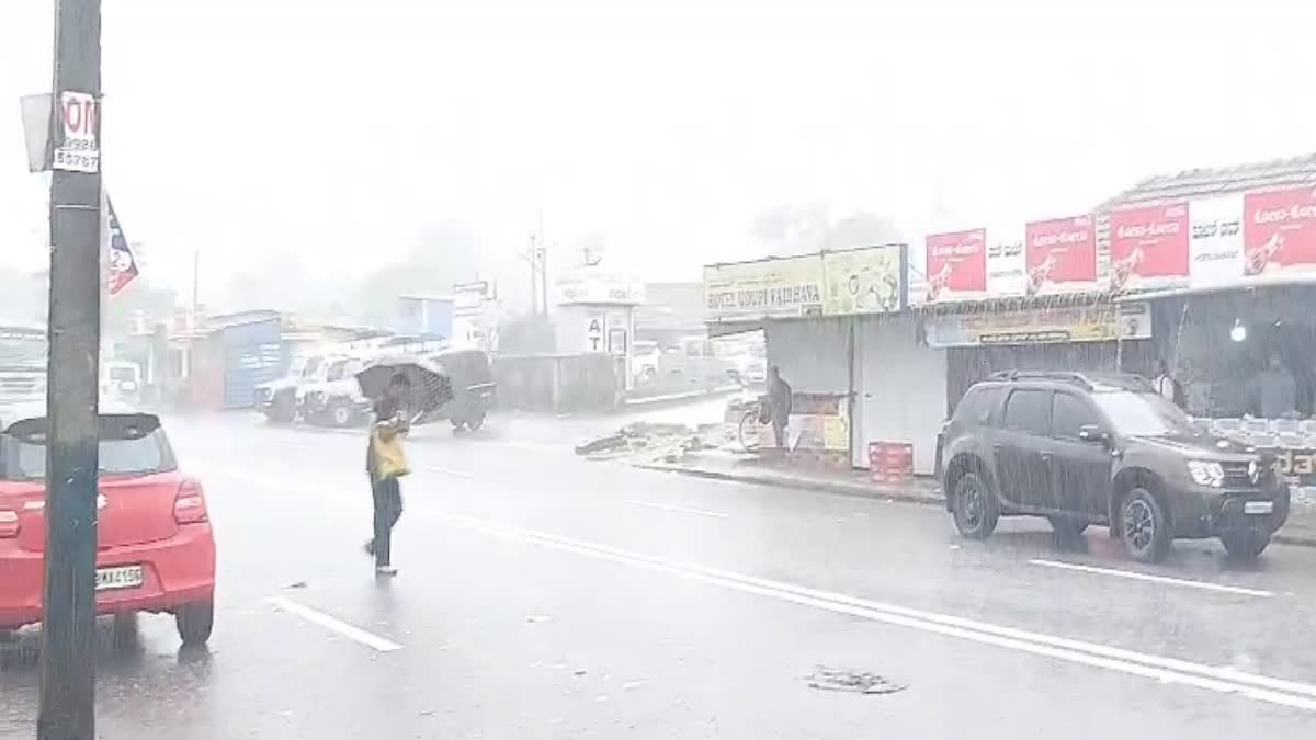 Chikkamagaluru rain