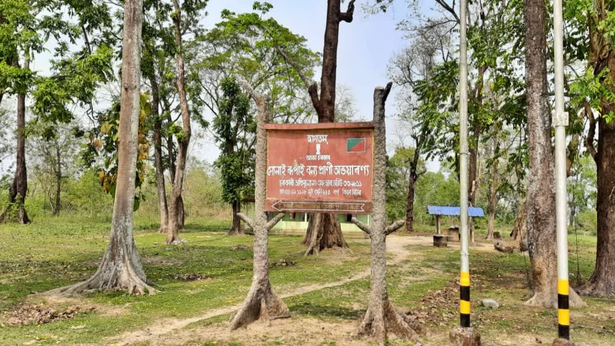 Assam govt faces NGT heat for schools, roads built in Sonai-Rupai wildlife sanctuary, Order to submit details on 21 st August