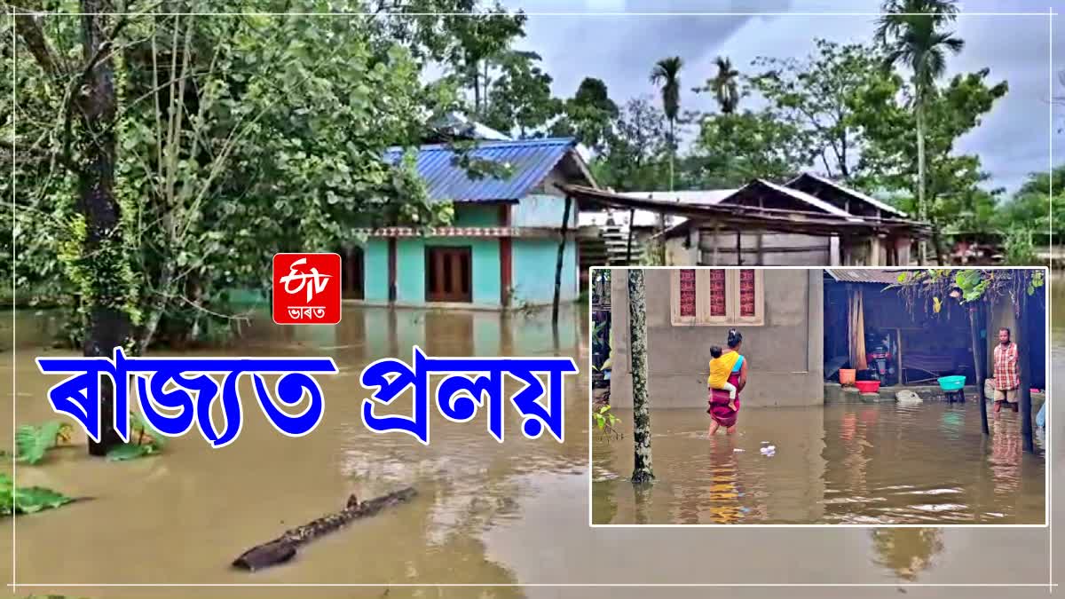 Assam Flood Report