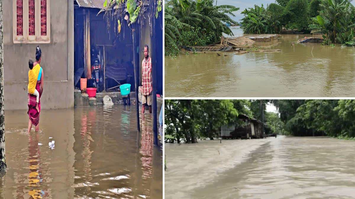 Assam flood