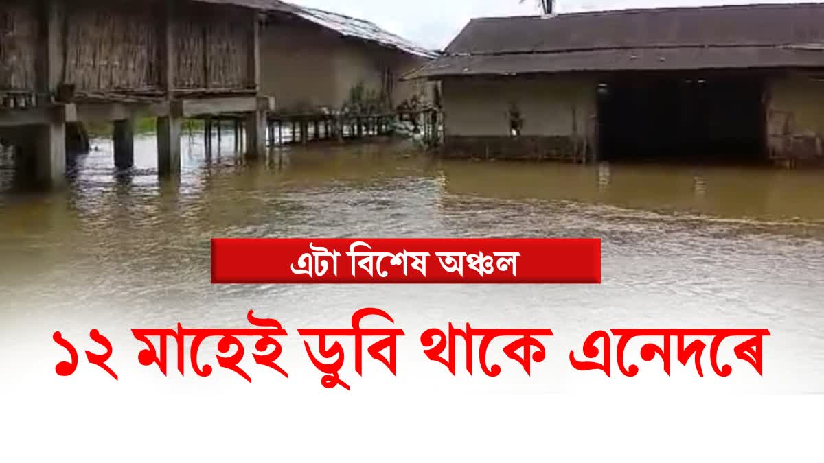 ASSAM FLOOD CRISIS