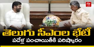 Telangana CM Revanth And AP CM Chandrababu Meeting