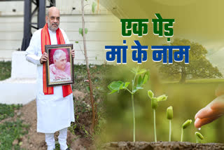 AMIT SHAH LAUNCH PLANTATION ABHIYAN