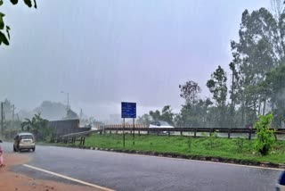 RED ALERT  DAKSHINA KANNADA  HEAVY RAIN IN MANGALURU