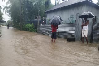 North Bengal Heavy Rain