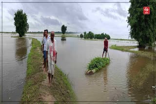 Assam Flood 2024