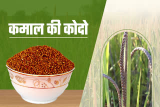 BENEFITS OF KODO MILLETS