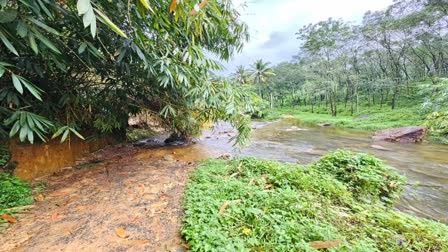 മാങ്ങാപ്പാറക്കുടി  ഇടുക്കി വാര്‍ത്തകള്‍  ഇടുക്കി മാങ്ങാപ്പാറക്കുടി യാത്ര  Idukki News