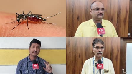 Dengue cases are increasing  blood platelets  Belagavi