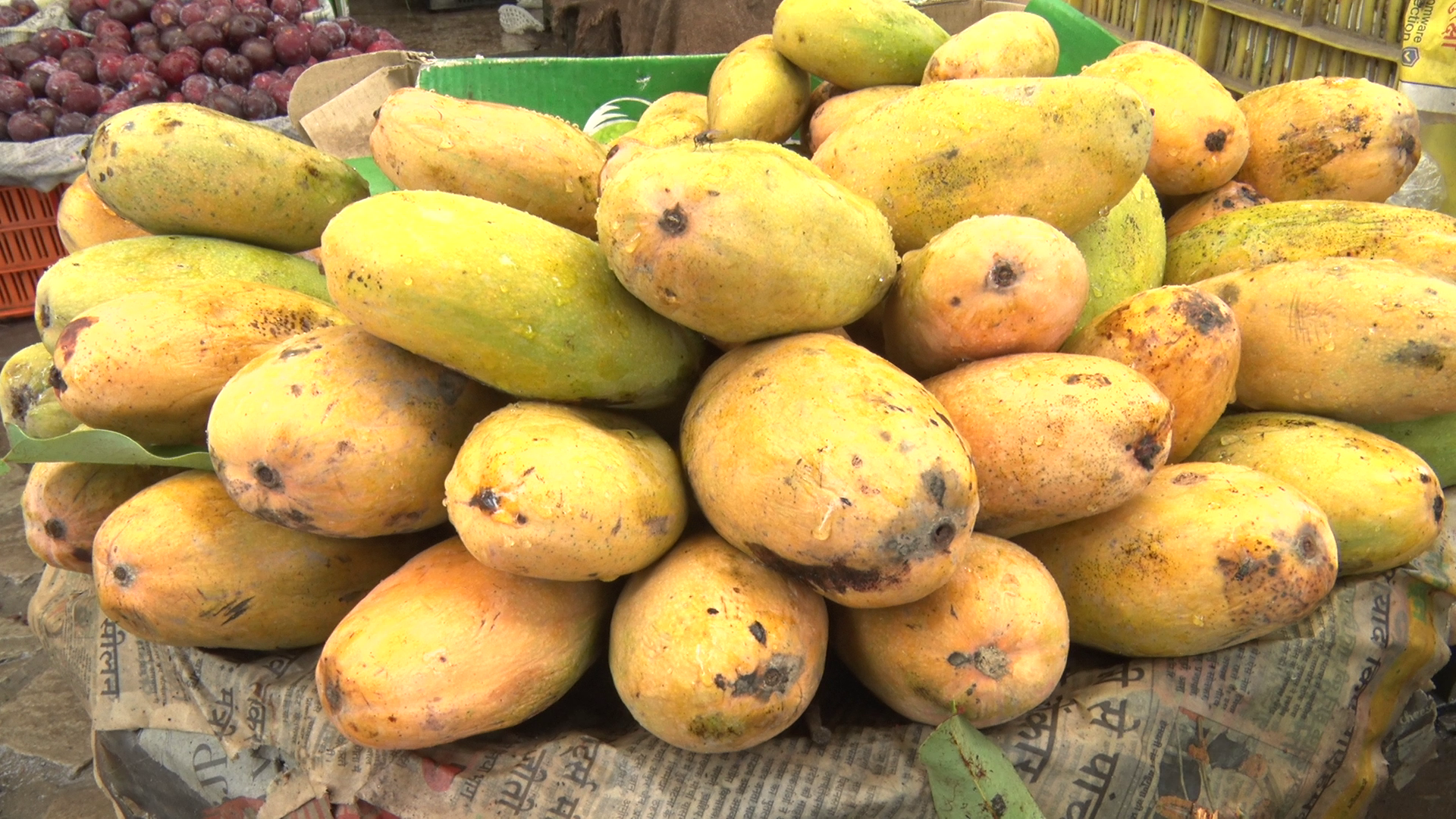 Monsoon Season Fruits