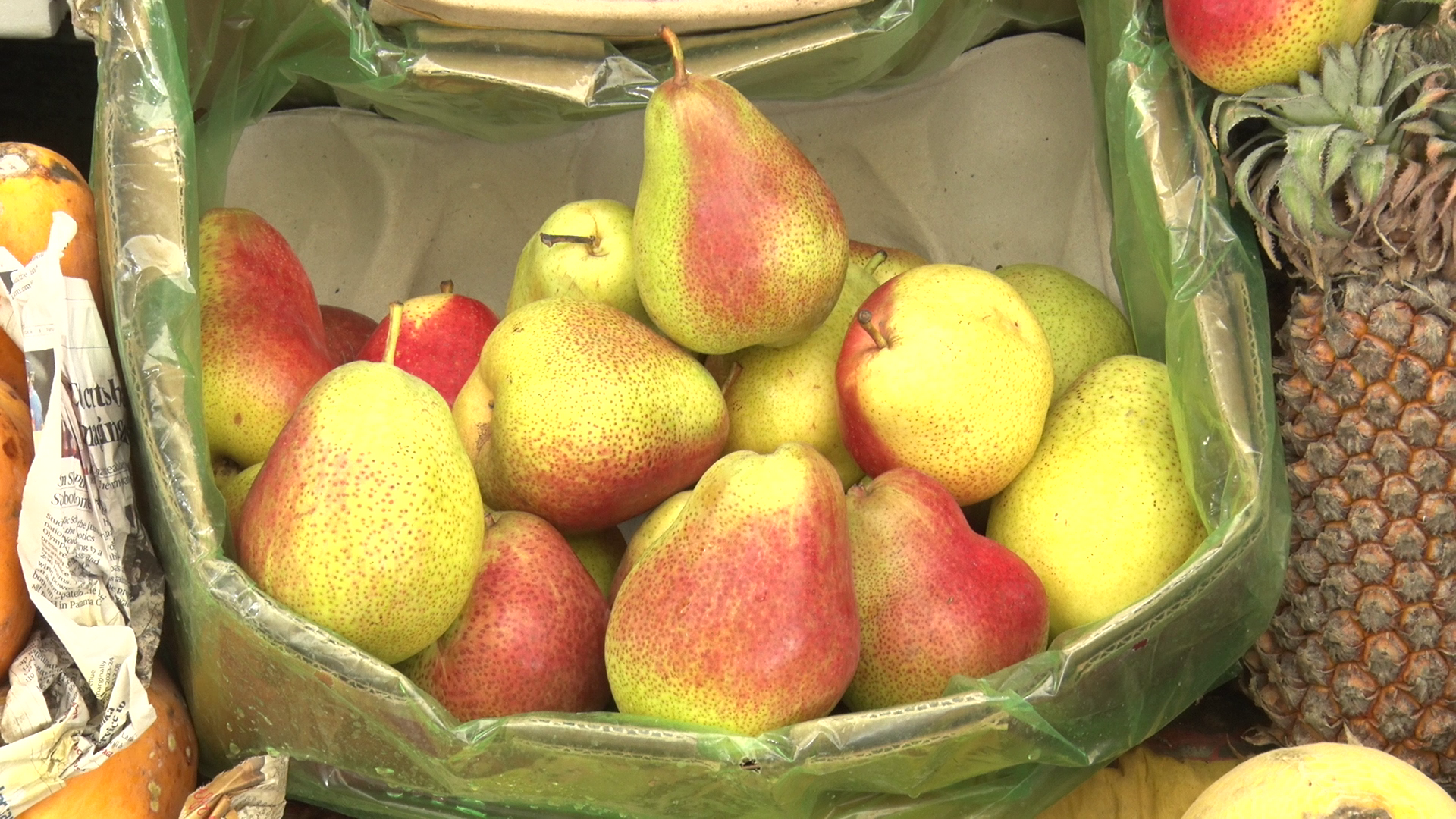 Monsoon Season Fruits