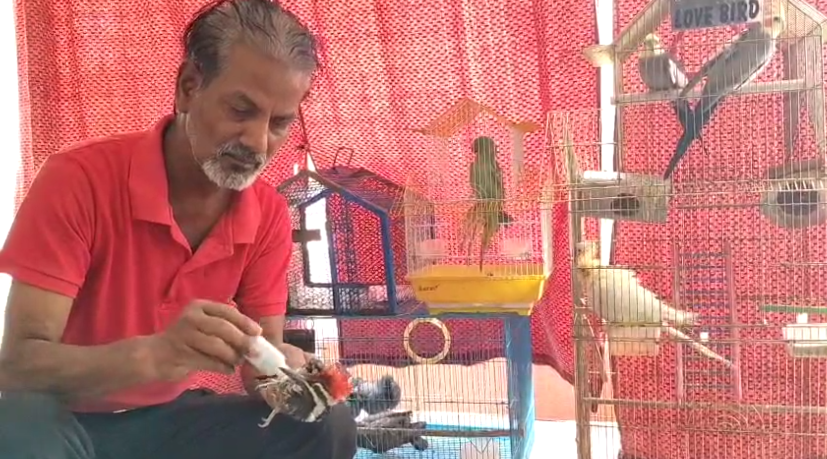 Chandigarh Bird Man Dr Prince Mehra aka Manjeet Singh runs a bird ambulance to save the lives of birds name in India Book of Records