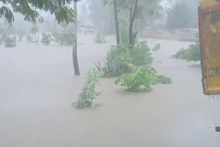 GAURELA PENDRA MARWAHI