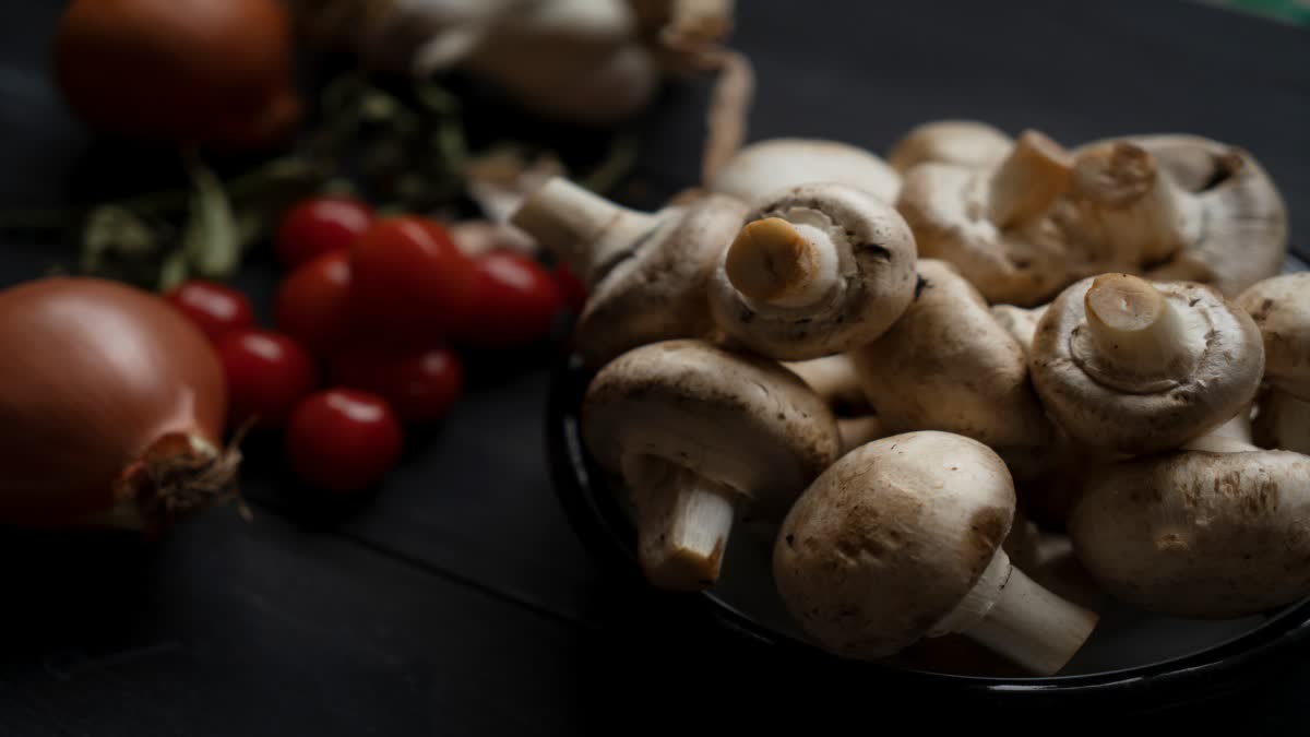 Mushroom for Health News