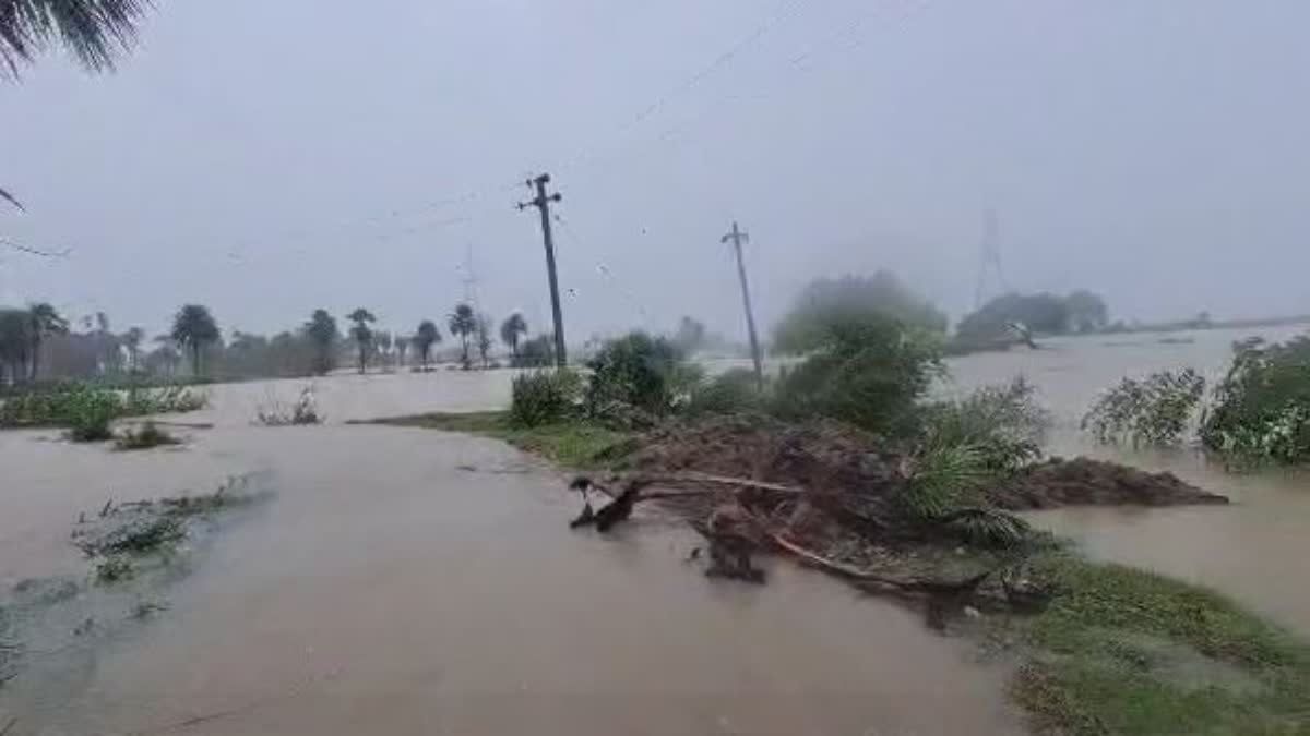 Farmland is submerged rain water