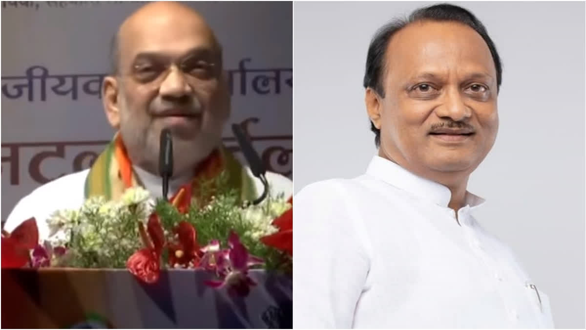 Collage: Amit Shah and Ajit Pawar