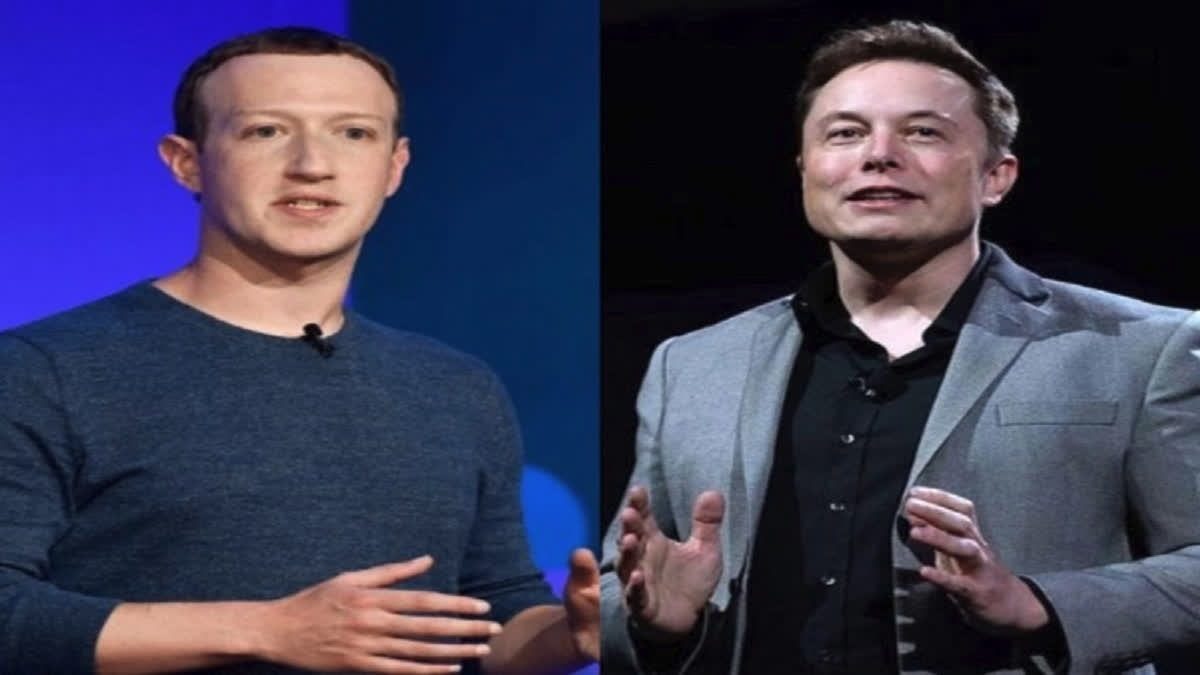 Elon Musk Mark Zuckerberg cage fight watch