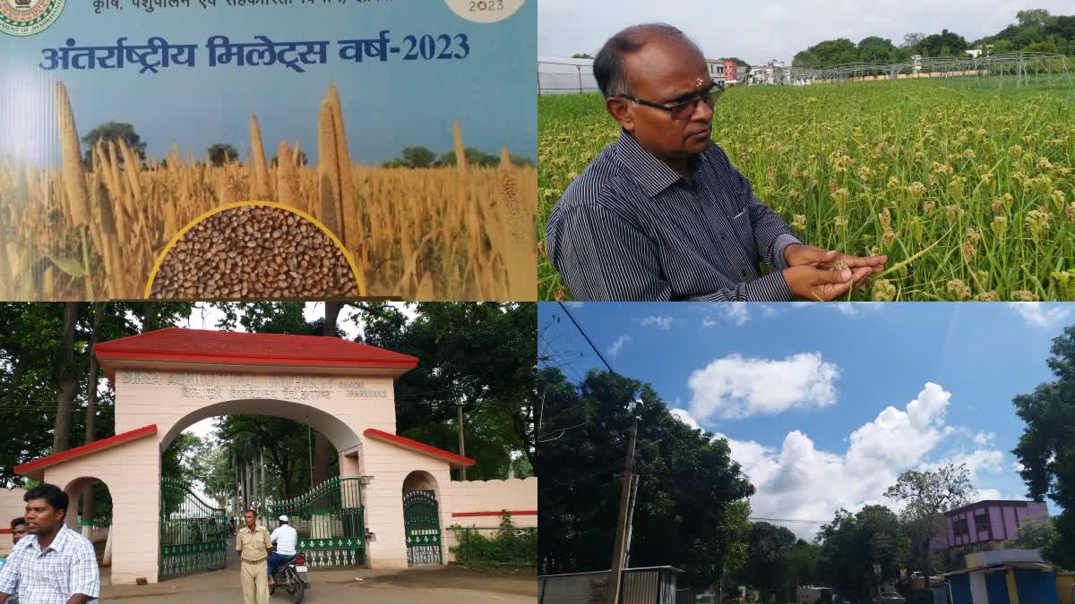 Jharkhand Farmers