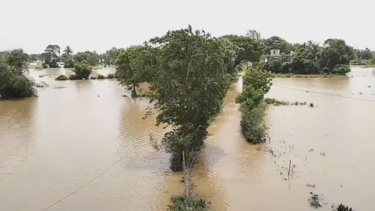 flood situation in jagatsinghpur