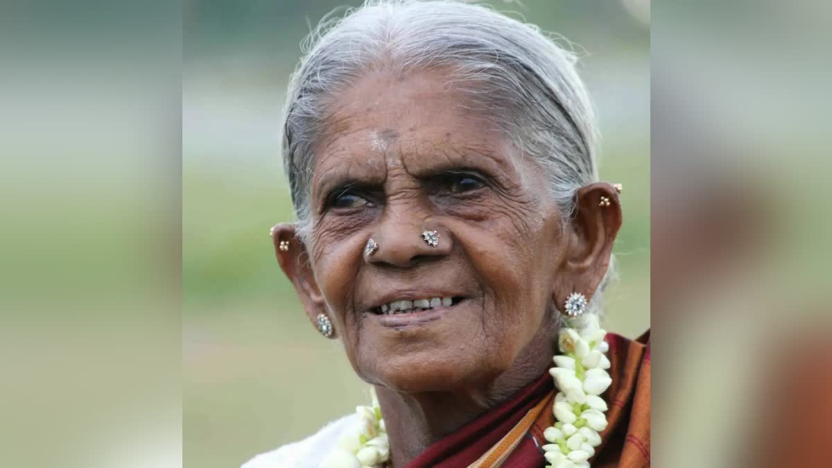 ಸಾಲುಮರದ ತಿಮ್ಮಕ್ಕ