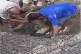 A boy had a miraculous escape when he was buried under the debris of a landslide in the Sirmaur district of Himachal Pradesh. After heavy rains on Friday night, a landslide occurred on the road connecting Saton to Renuka ji in the Sirmaur district. On Saturday, as usual, a Class IX student was crossing the road, along with other people, and suddenly he was buried under the debris of a landslide. In no time, the student was almost completely buried under the pile of debris.