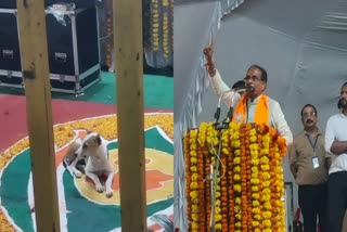 street dog entered public meeting cm shivraj