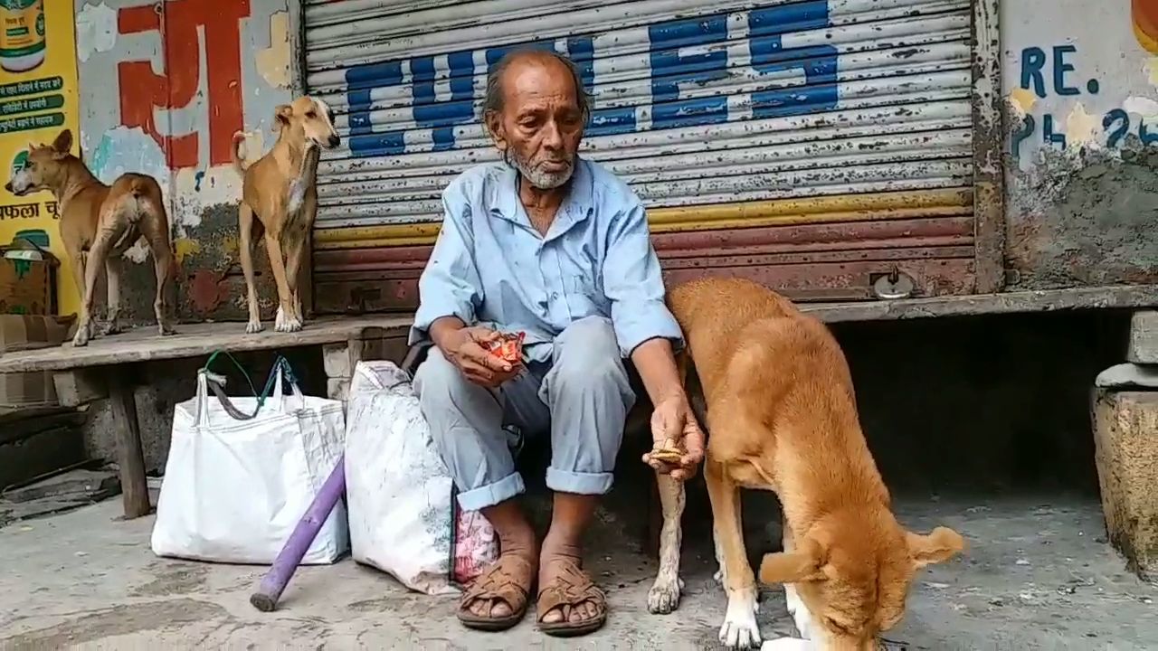 જૂનાગઢના કુતરાવાળા બાપુ