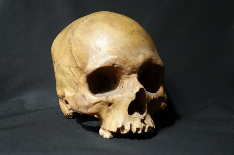 alam beg skull reached india