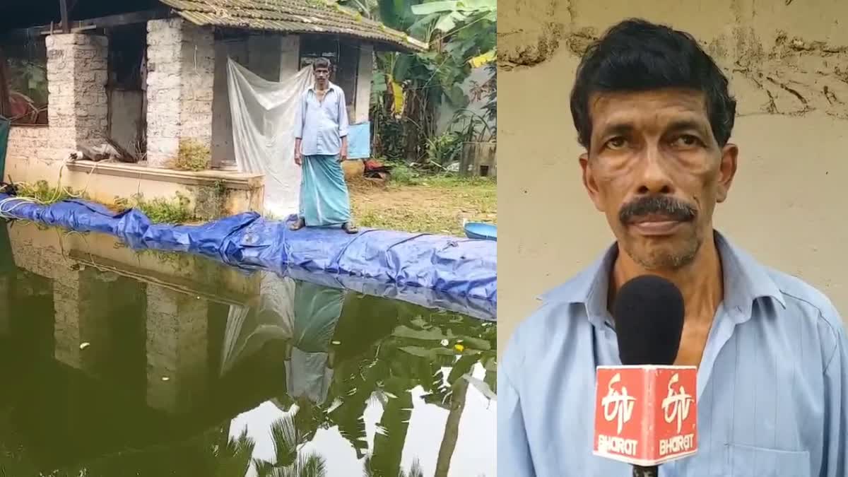 FISH FARMERMING IN KANNUR  മത്സ്യ കൃഷി  മത്സ്യ കൃഷി കർഷകർ ദുരിതത്തിൽ  FARMERS UNABLE TO SELL FISH