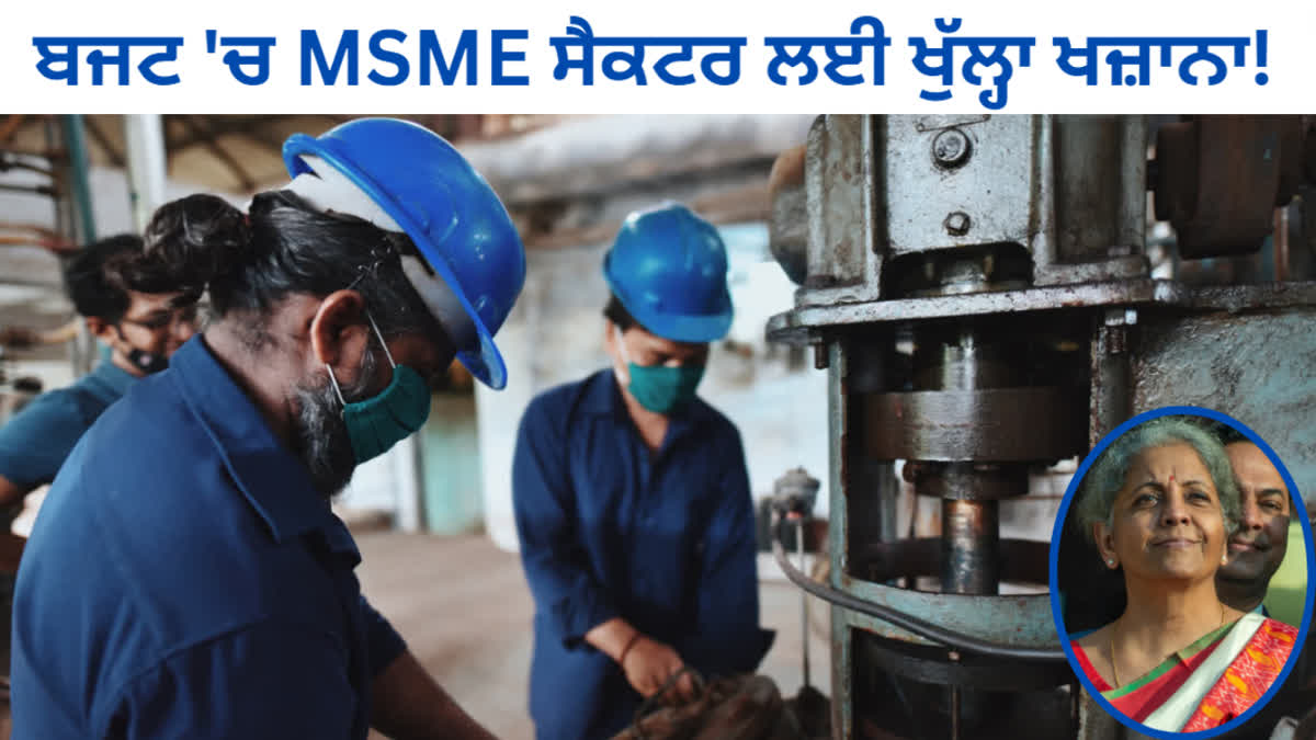 The treasury opened for the MSME sector in the budget! Know how the Finance Minister helped