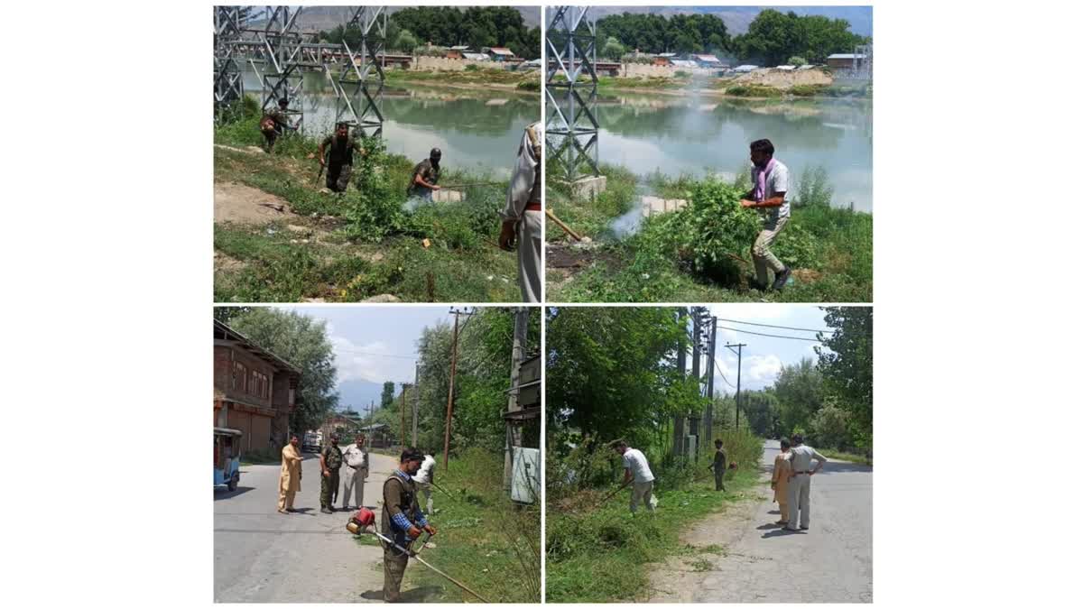 As part of the anti-narcotics drive, the Ganderbal police destroyed cannabis in many areas