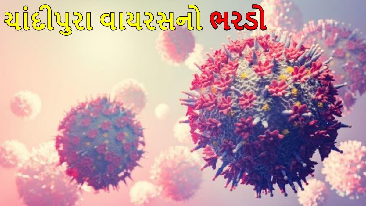 રાજ્યમાં ચાંદીપુરા વાયરસથી 68 મોત