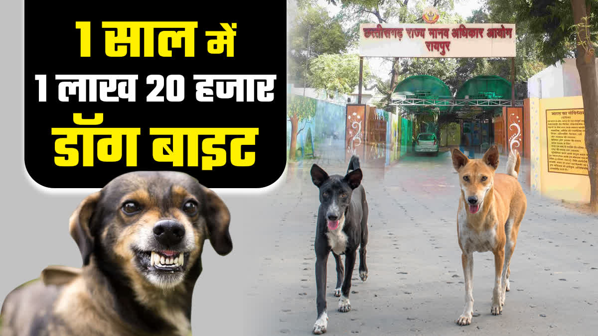 DOG BITE CASES IN CHHATTISGARH