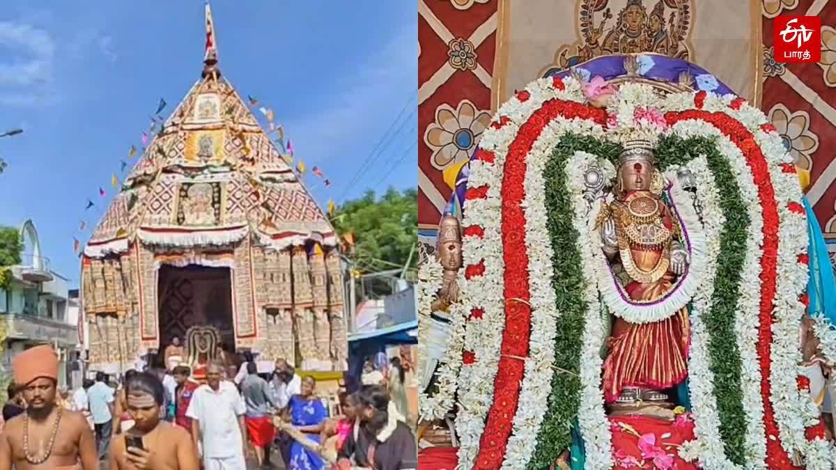 திருக்கடையூர் அமிர்தகடேஸ்வரர் கோயிலில் ஆடிப்பூர தேரோட்டம்