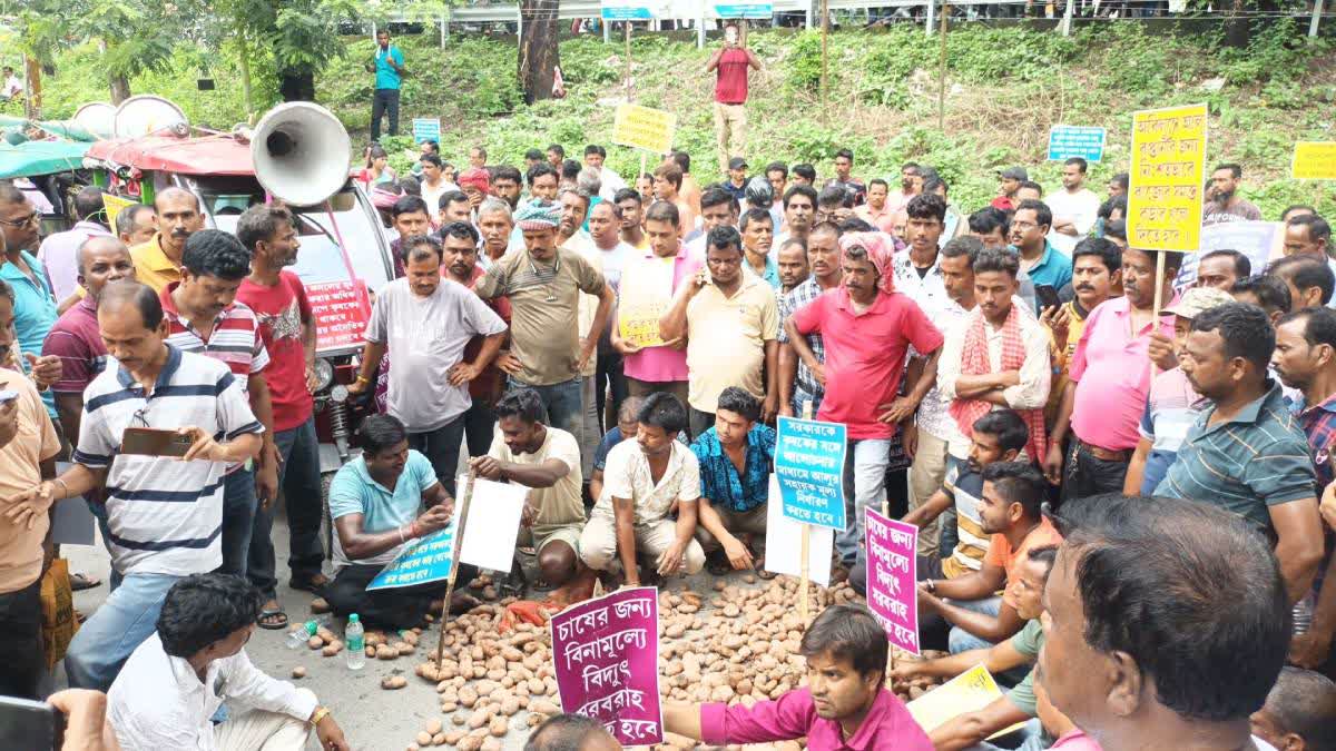 Potato Farmers Protest