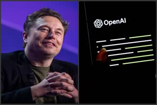 Elon Musk Sues OpenAI