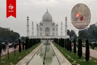 TAJ MAHAL