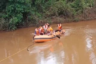 tehsildar rescued pregnant from gadchiroli flood and admitted in hospital