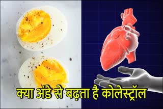 Does eating eggs increase cholesterol